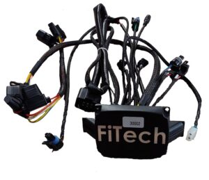 30002-1 Replacement ECU for 30002 Go EFI 4 600 HP System